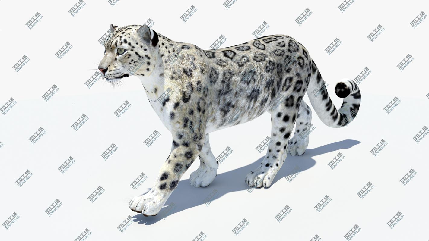 images/goods_img/2021040161/Snow Leopard 2 Animated 3D model/4.jpg